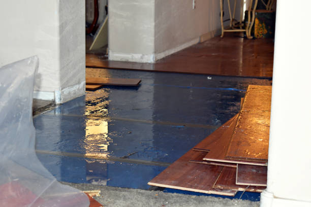 Professional Water Extraction technician working in Newton, MA